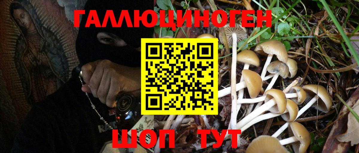 даркнет сайт  Псилоцибиновые грибы MAGIC MUSHROOMS  Вход с VPN  Галлюциногенные грибы прущие грибы  Алатырь 