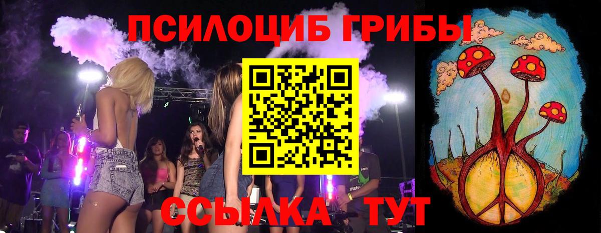 Псилоцибиновые грибы Cubensis Алатырь